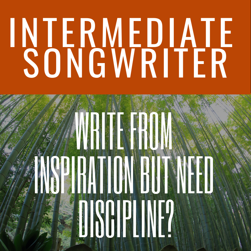 Write From Inspiration But Need Discipline?