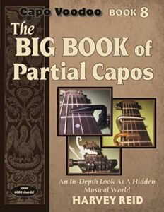 partial capo book big book of ideas #8