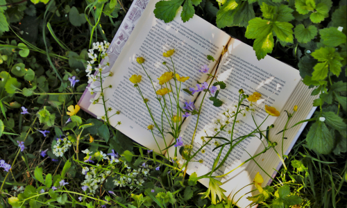use book as a prompt starter